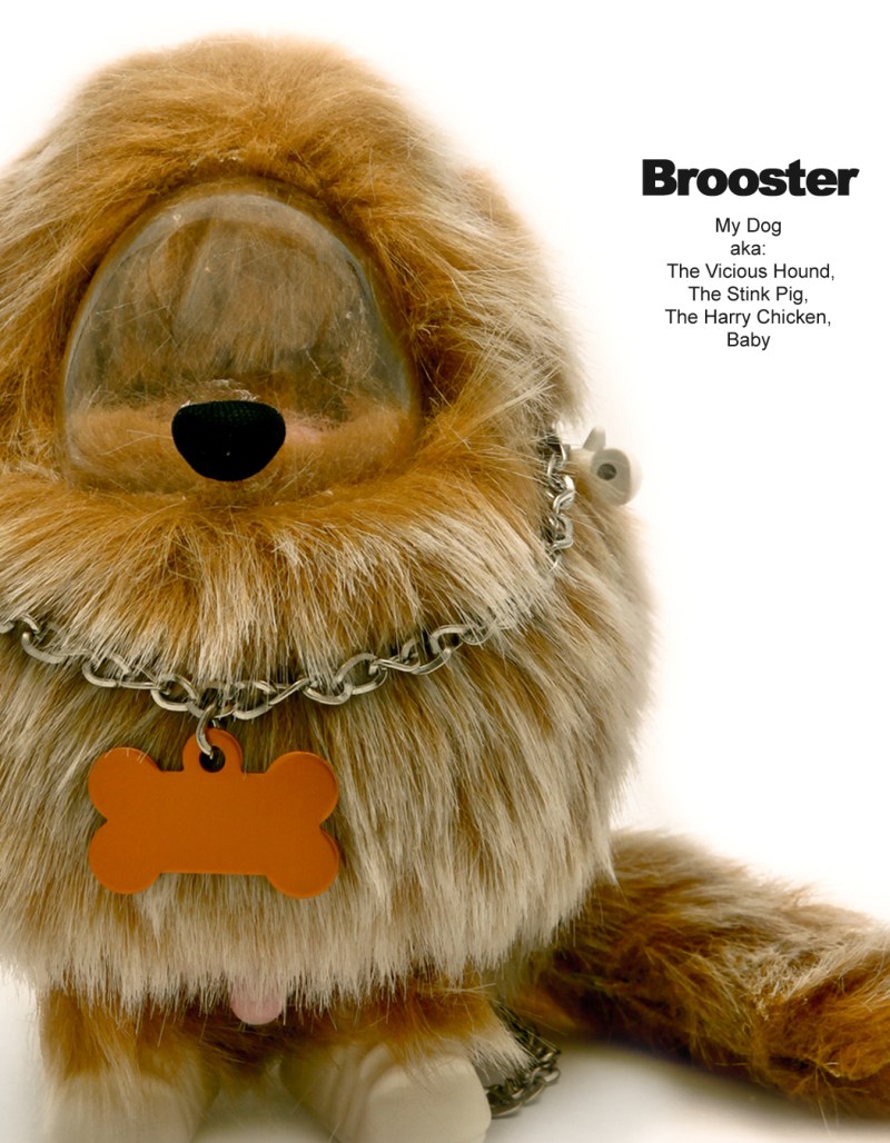 Brooster